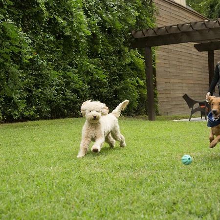 Uptown Houston Luxury High-Rise Leilighet Eksteriør bilde