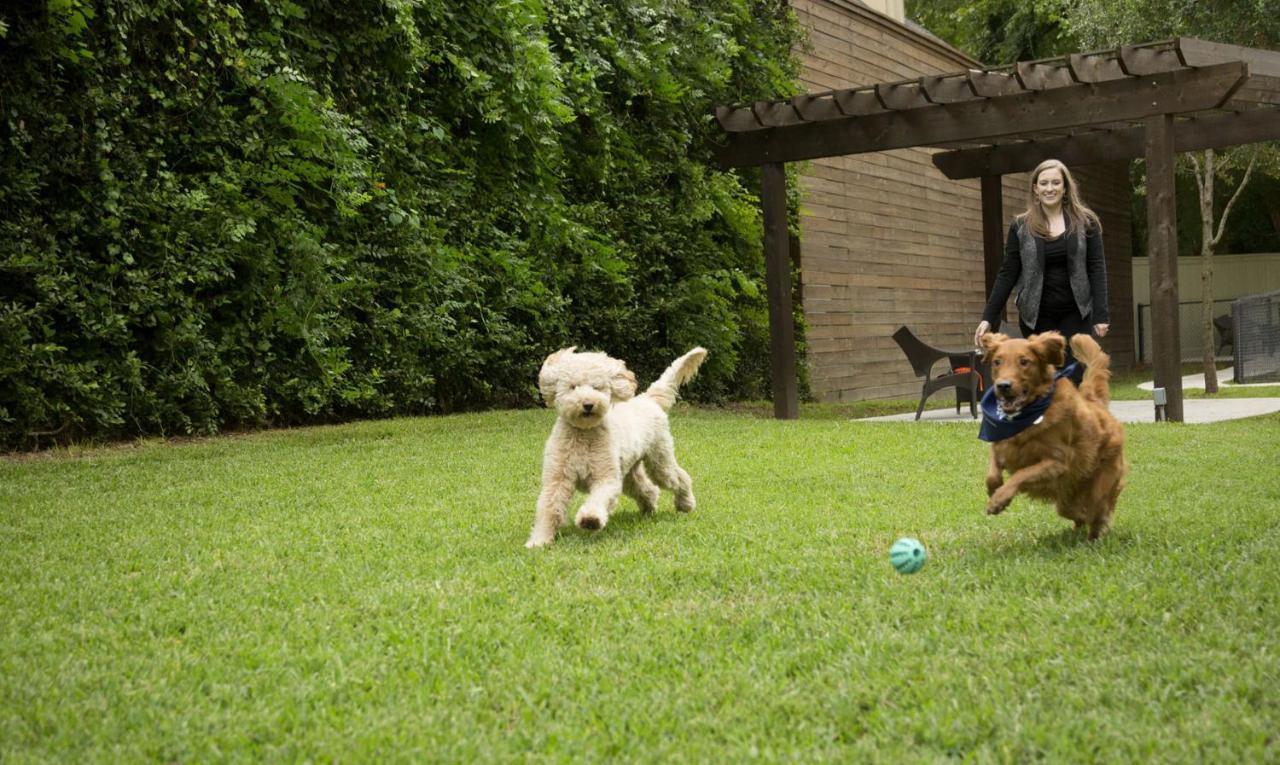 Uptown Houston Luxury High-Rise Leilighet Eksteriør bilde